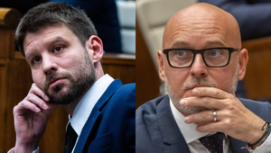 SaS chce ísť do volieb samostatne, Šimečka má iný názor