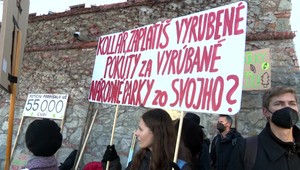 Vláda bez hlasov Sme rodina nedokáže presadiť reformy. Odložili hlasovanie o reforme národných parkov