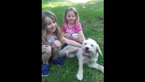 Lenka a Saška ďakujú. Ich verná fenka Meya sa našla aj vďaka divákom TV JOJ