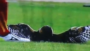 Moreno dostal za smrť sovy-maskota dvojzápasový trest