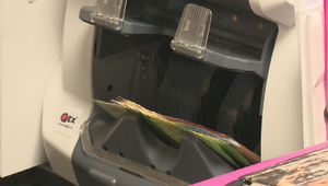 Rok 2016 verzus dnes: Čo zdraželo, čo nás dobehlo a čo sa oplatilo kúpiť