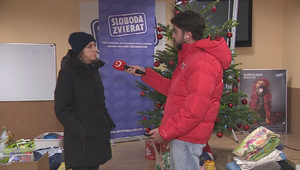 Rozhovory 24: Prečo pes nepatrí pod stromček?