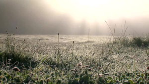 Do hlavného mesta sa vrátia prízemné mrazy. Meteorológovia vydali viaceré výstrahy