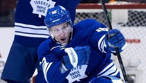 Pánik potešil fanúšika... A dostal trest za vyhodenie hokejky