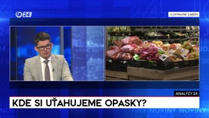 Analýzy 24: Na čom sa Slováci snažia šetriť najviac?