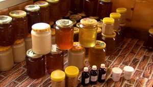 Med z tejto bežnej rastliny vám pomôže zvládnuť vysoký cholesterol a cukor v krvi