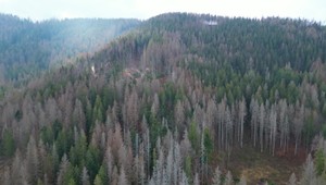 Ekologická katastrofa na Horehroní: Minister Richard Takáč podáva trestné oznámenie