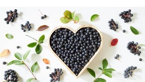 Kráľovná antioxidantov, ktorá zaujala aj vedcov: "Prečo je slovenská arónia  číslo 1 na vašu imunitu?!“