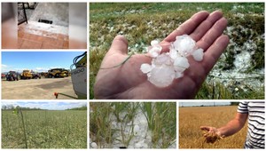 Michalovčania sa spamätávajú z ničivej búrky. Pozrite sa, čo voda spôsobila