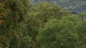 Bettini víťazom 12. etapy na Vuelte, M. Velits 15.