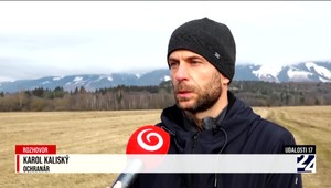 Rozhovor s ochranárom: Medvede sú chránené