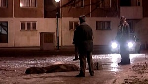 Jedenásť rokov starú vraždu budú musieť pre procesné pochybenia pojednávať odznova