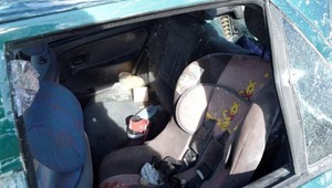 Vedci predstavili senzor, ktorý upozorní na zabudnuté dieťa alebo zviera v aute