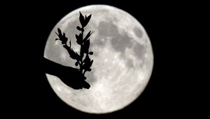 Mesiac je k Zemi mimoriadne blízko