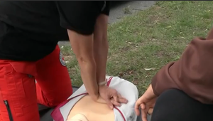 VIDEO: Vedia vodiči poskytnúť prvú pomoc?