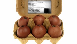 Vajcia budúcnosti existujú! Tu je dôkaz...