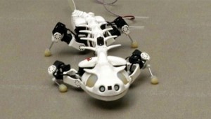 Švajčiari vynašli originálneho robota. Salamandra imituje pohyb stavovcov
