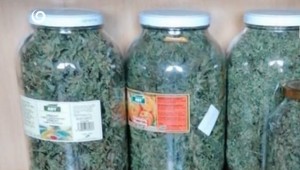 NAKA zaistila na západe Slovenska vyše 18 kíl marihuany. Obvinenému hrozí 25 rokov väzenia