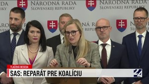SaS: Reparát pre koalíciu