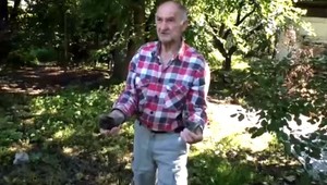 Osadníci obyvateľov Krompách ohrozujú kameňmi a rabujú v záhradkách