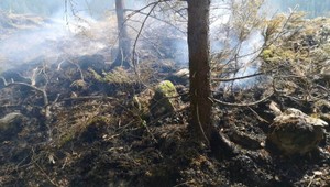 NAPANT žiada zásah enviropolície. Škoda po požiari dosiahla 800-tisíc eur