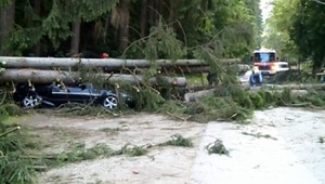 Veterná smršť sa prehnala Rajeckými Teplicami. Dve autá zavalili stromy