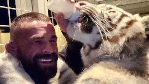 Vémola má veľký problém, ide o TÝRANIE zvierat! Prečo spravil TOTO jeho tigrici?!