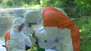 Minulý rok boli komáre premnožené. Zopakuje sa to aj počas najbližšieho leta?