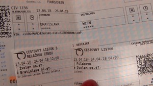 Chlapci si únos do Viedne vymysleli. Vykradli pohostinstvo