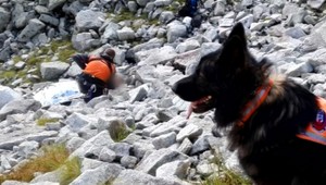 Benny našiel nezvestného Poliaka po troch dňoch