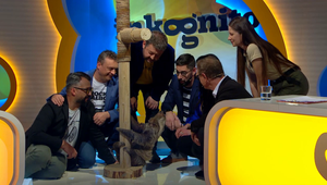 Hádači byli z lenocha ve studiu u vytržení: A jak ho Mišo Hudák a Šoko nadabovali!