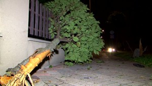 Takmer dve a pol promile nafúkal vodič, ktorý nezvládol jazdu na rovnom úsekom cesty