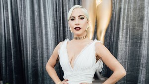 Uniesli jej psov a postrelili asistenta: Lady Gaga teraz ponúka neskutočnú sumu za ich návrat!