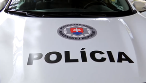 Fyzické útoky a šikana medzi deťmi: Kto zrušil obvinenie ako nezákonné?