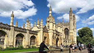 Prestížna univerzita prenajímala študentom psa. Dostal fóbiu