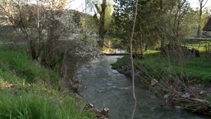 Žena sa nevrátila z prechádzky popri rozbúrenom potoku. Pátrajú po nej policajti