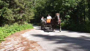 Vo Vysokých Tatrách sa opäť objavujú konské povozy, zatiaľ len na vybraných trasách