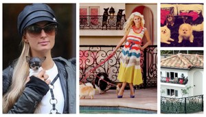 Načisto sa zbláznila? Paris Hilton je posadnutá psami, kúpila im dom