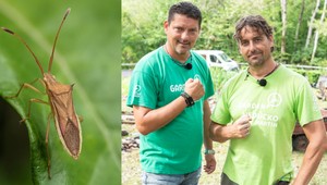 Bzdochy môžu kompletne zničiť vašu úrodu: 3 tipy, s ktorými sa ich zbavíte raz a navždy!