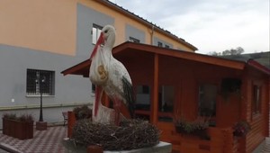 Od septembra v dedine pribúda novorodencov. Nosí ich drevený bocian