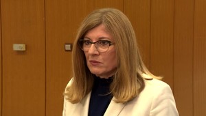 Africký mor ošípaných, ktorý vyčíňal na východe Slovenska, majú veterinári pod kontrolou, tvrdí Matečná