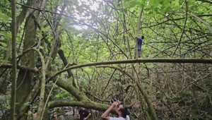 VIDEO: Veľký úspech ochranárov. Objavili kedysi vyhynutý druh slimákov