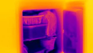 Polícia objavila v mrazničke mŕtvolu mladej ženy a jej dvoch dcér