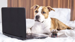 Platby za elektrinu už môžeme uhrádzať, kedy nám to vyhovuje