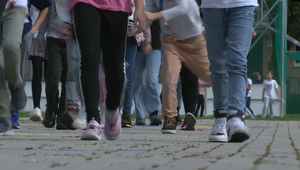 Epidémia vší na západnom Slovensku: Odborníci varujú pred zhoršením situácie