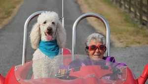 Dobrodružstvo namiesto liečby rakoviny: Norma strávila vyše roka na cestách