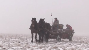 Netradičná škola na Veľkej lúke, žiakov tam ale nehľadajte