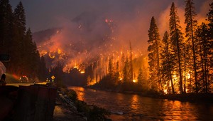 10 fotografií, ktoré dokazujú, že príroda volá o pomoc