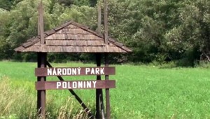 Milióny na rozvoj národných parkov: Hojsík kritizuje výber firiem