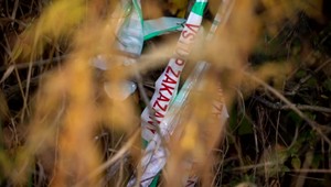 Muž ženu kameňom udieral do hlavy. Dostal 14 rokov väzenia